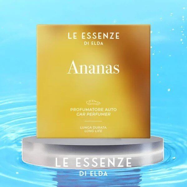 Fahrzeugduft Ananas – Exotisch, fruchtig & sommerlich - Waschparfüm24